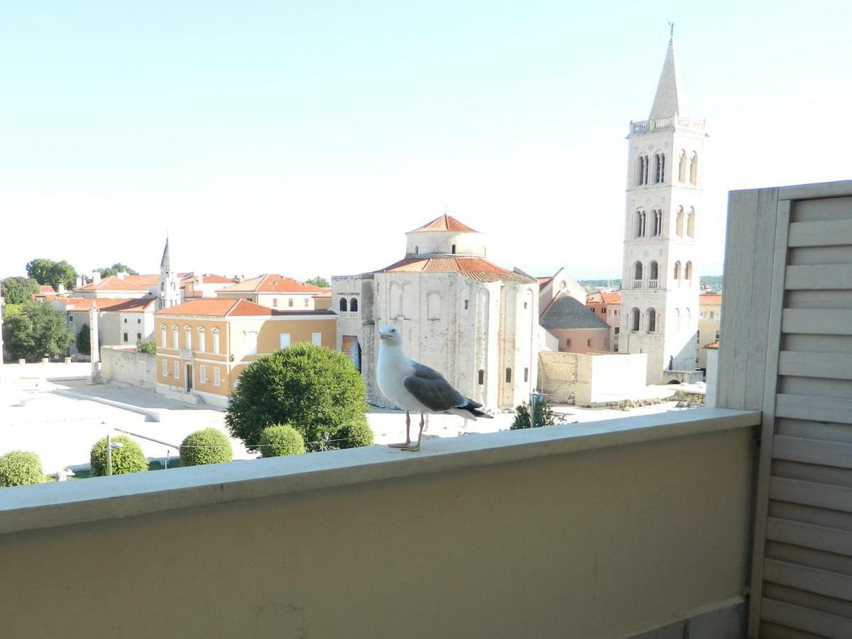 Sunset Delight In Old Town Apartment Zadar Ngoại thất bức ảnh